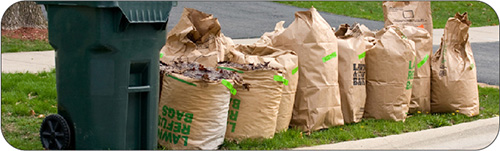 Compost Bags