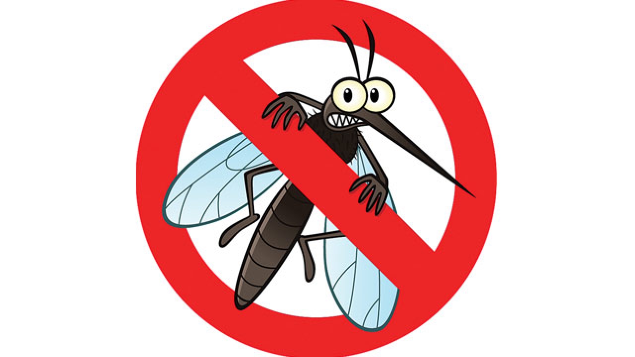 No Mosquitos Symbol