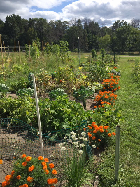 Flower Beds