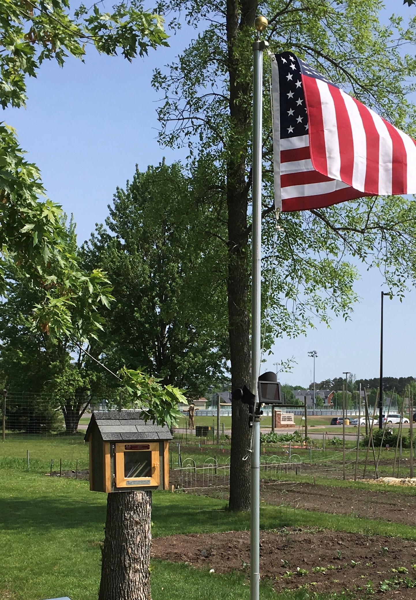 Little Free Library CCG 2018