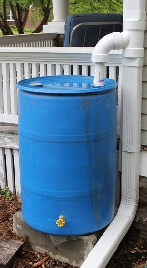 Rainbarrel