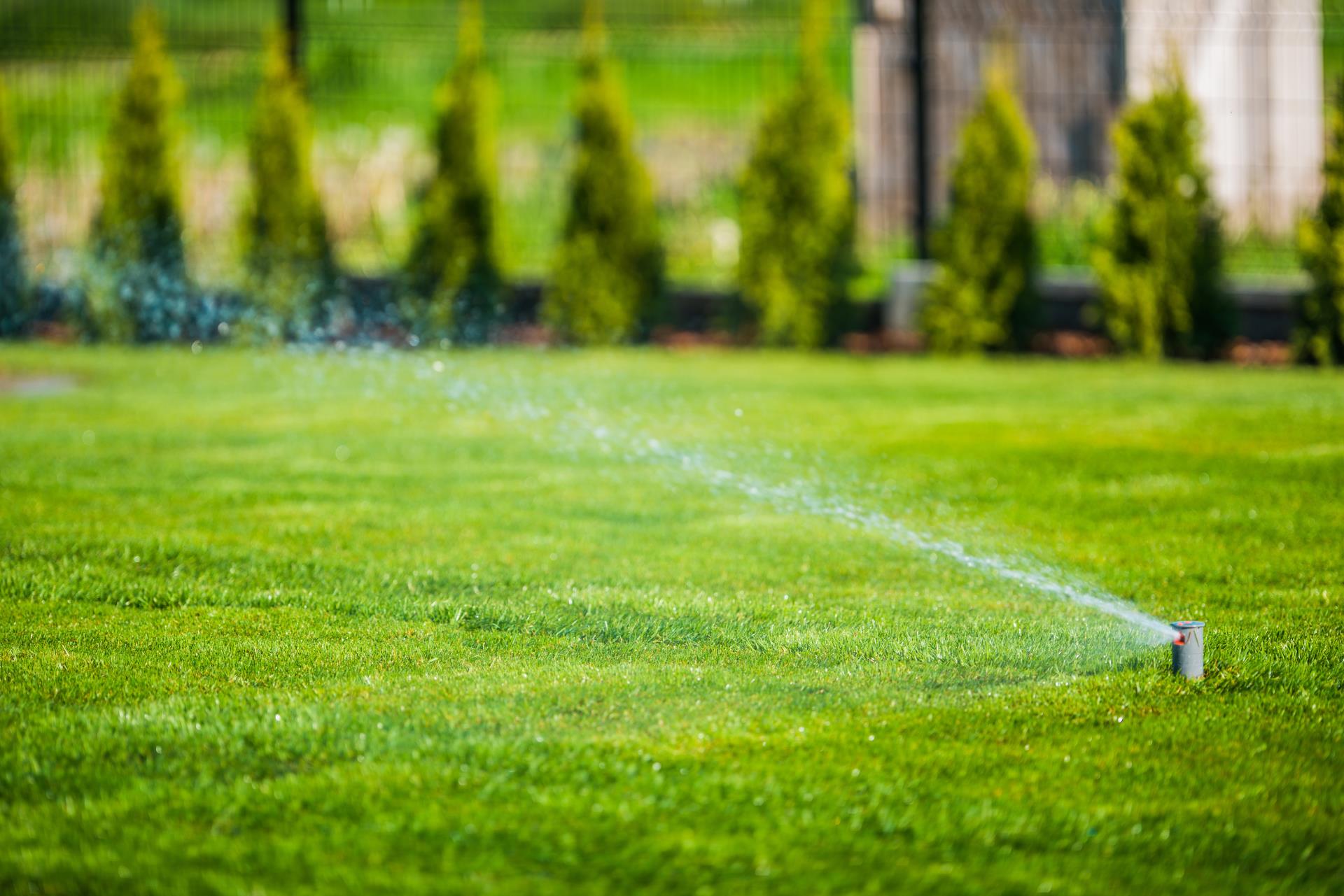 Lawn Sprinkling